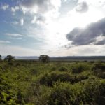 manyara rift valley