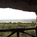 manyara safari lodges 06